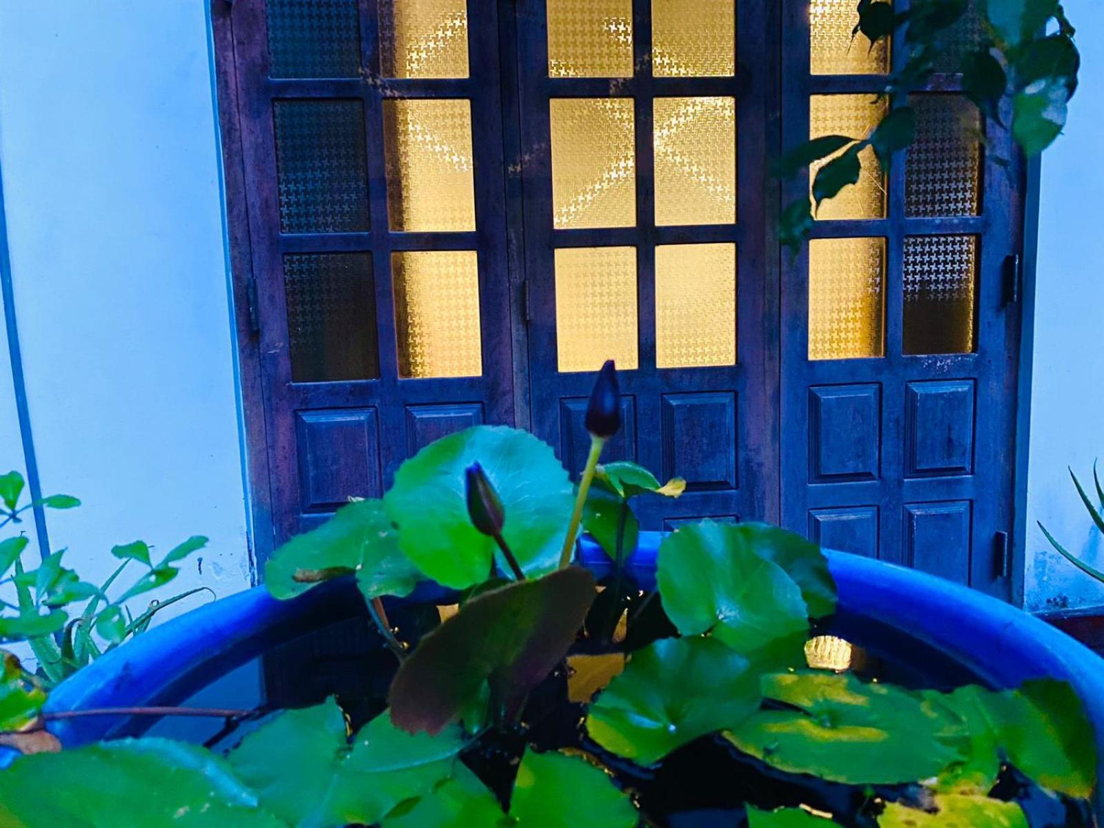Sachi'S Place Tangalle Esterno foto